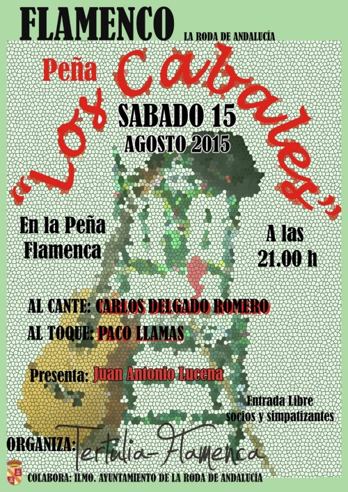 Flamenco 15 de agosto 2015