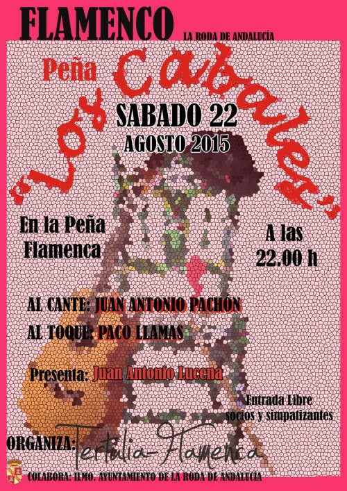 Flamenco 22 Agosto 2015