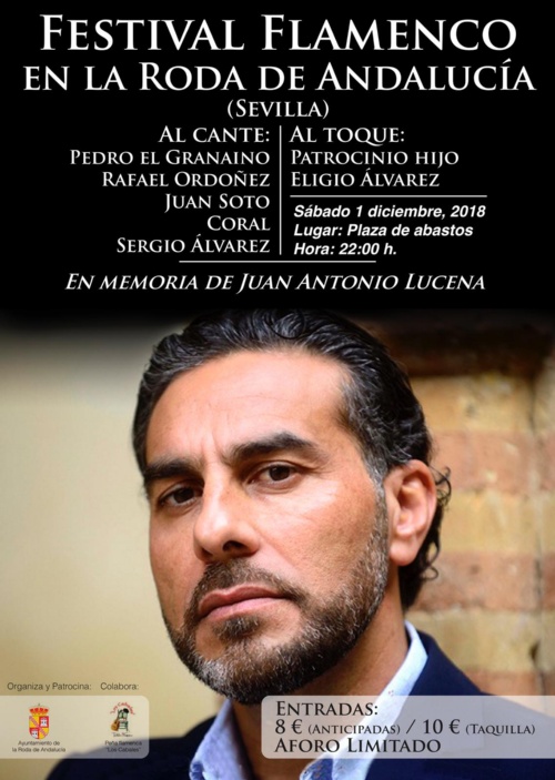 1. Festival Flamenco en La Roda de Andalucía
