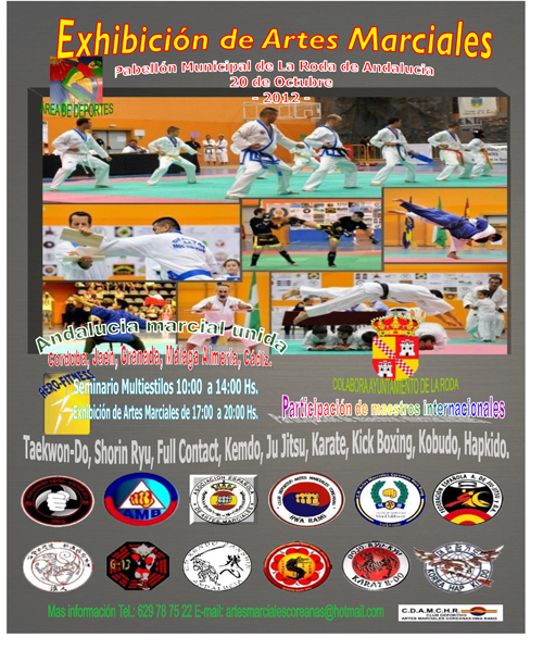 Cartel de exhibicion artes marciales